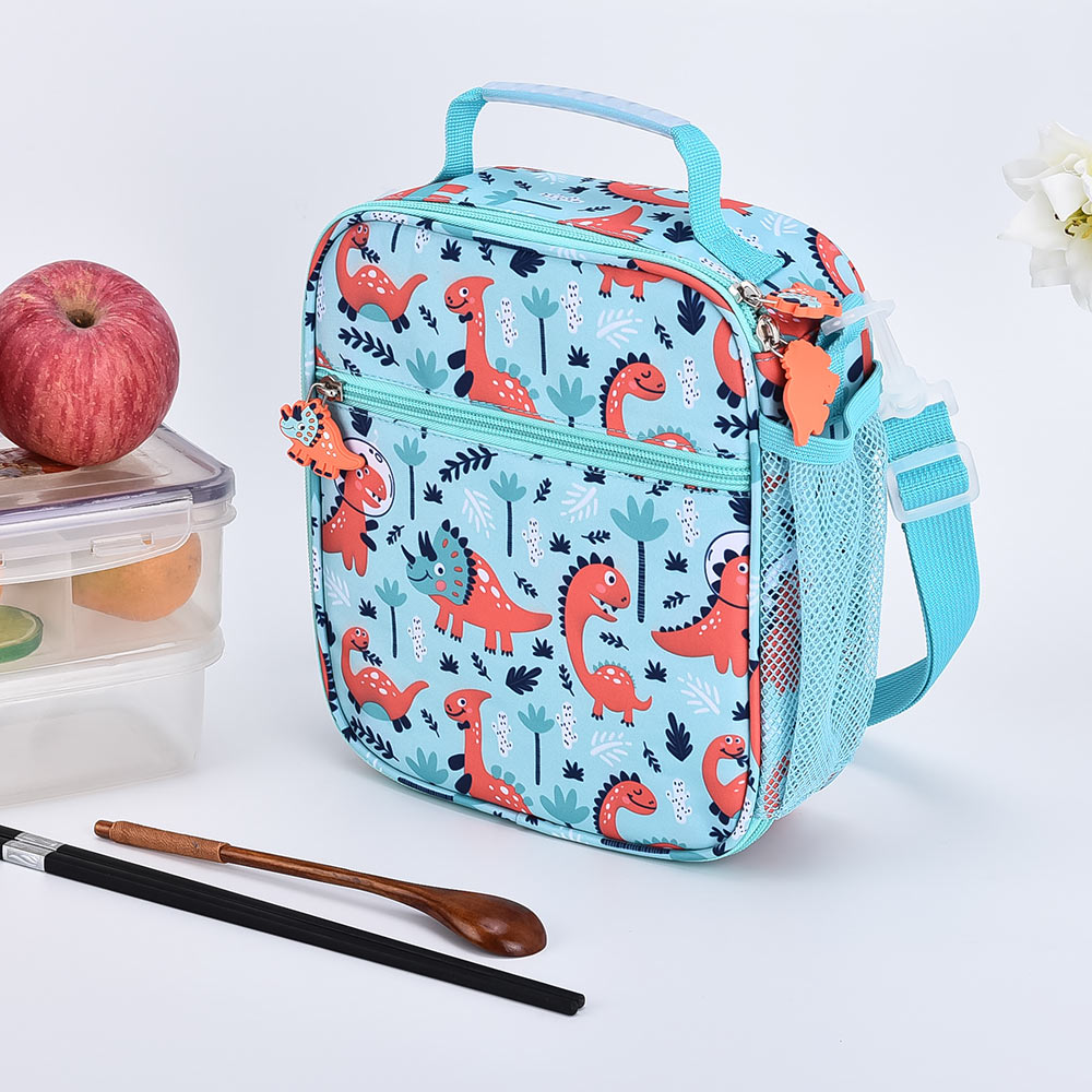 CB21003 Cooler bag/Lunch Bag/Picnic Bag